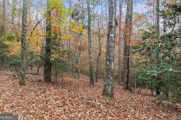 Demorest, GA 30535,LOT 6 Twisting Ridge TRL