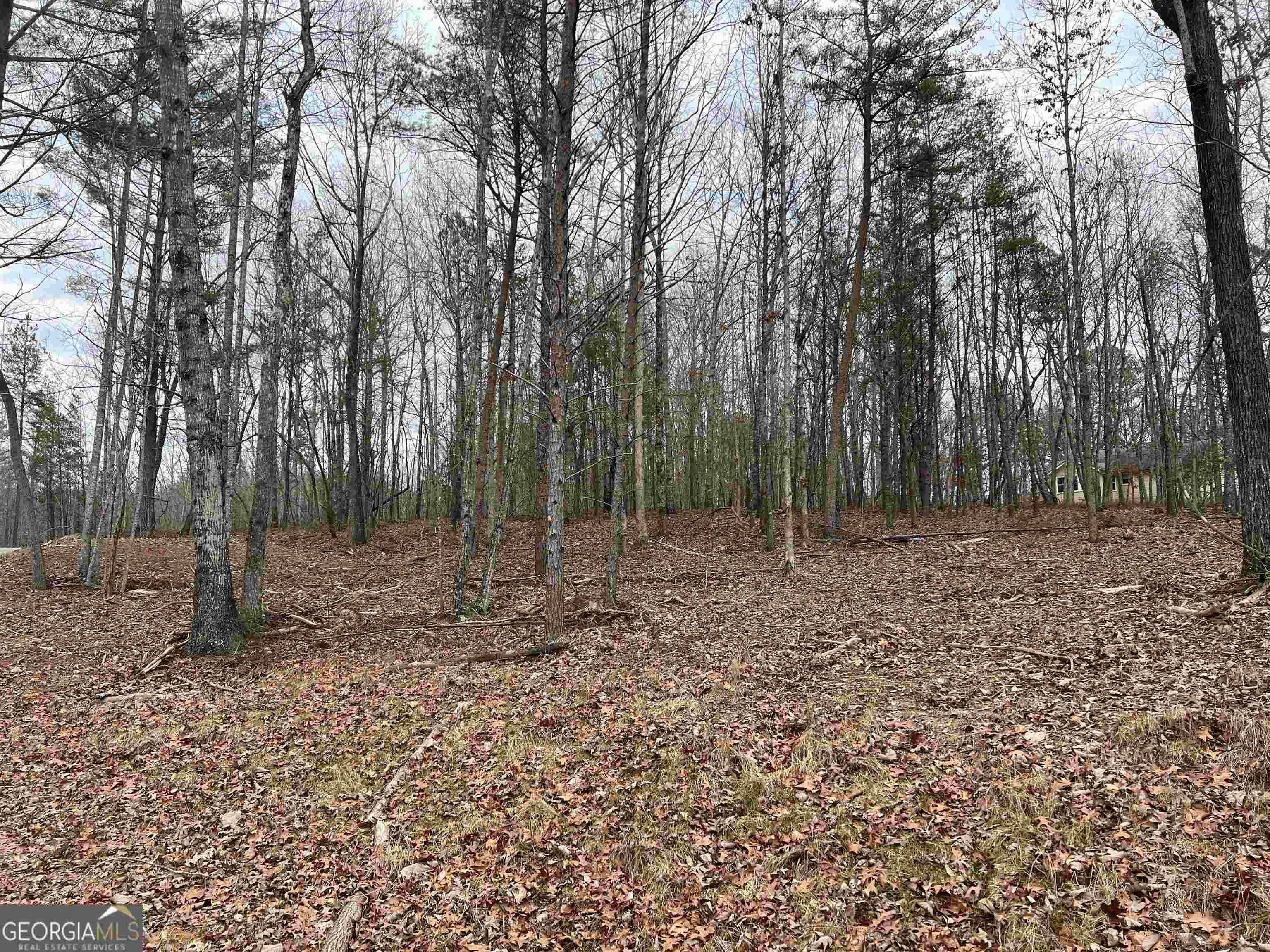 Clarkesville, GA 30523,LOT 108 Sautee Trace #108