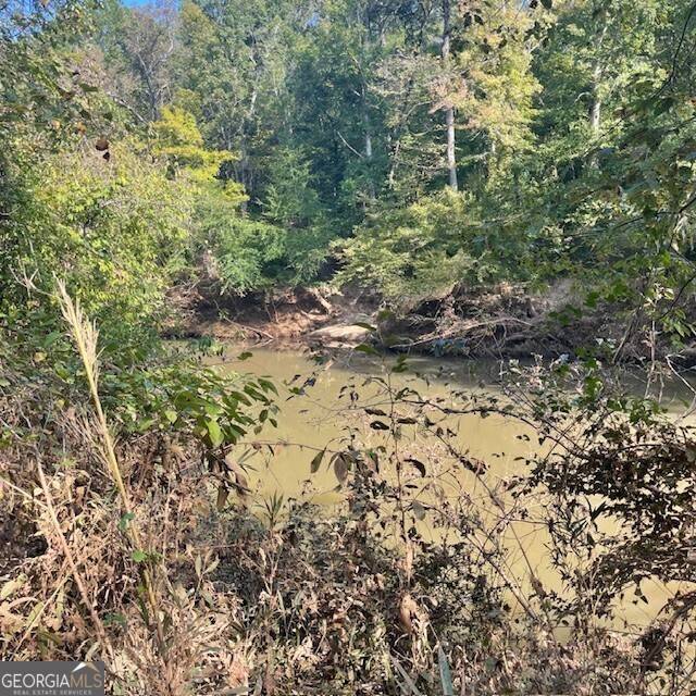 Roberta, GA 31078,80+/- ACRES Reeves RD