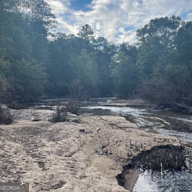 Roberta, GA 31078,80+/- ACRES Reeves RD