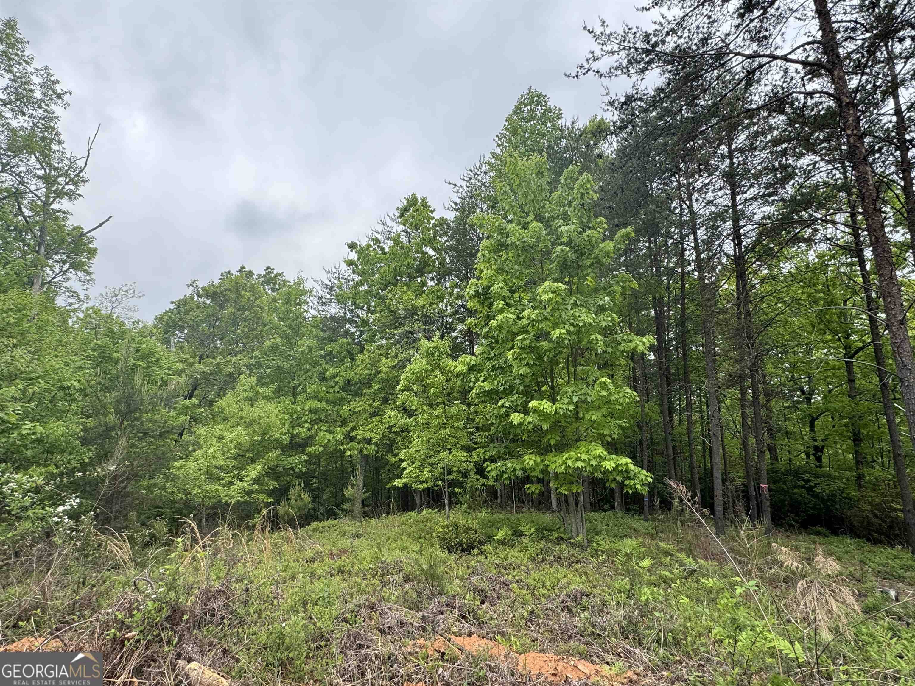 Cleveland, GA 30528,LOT 132 S Laceola RD