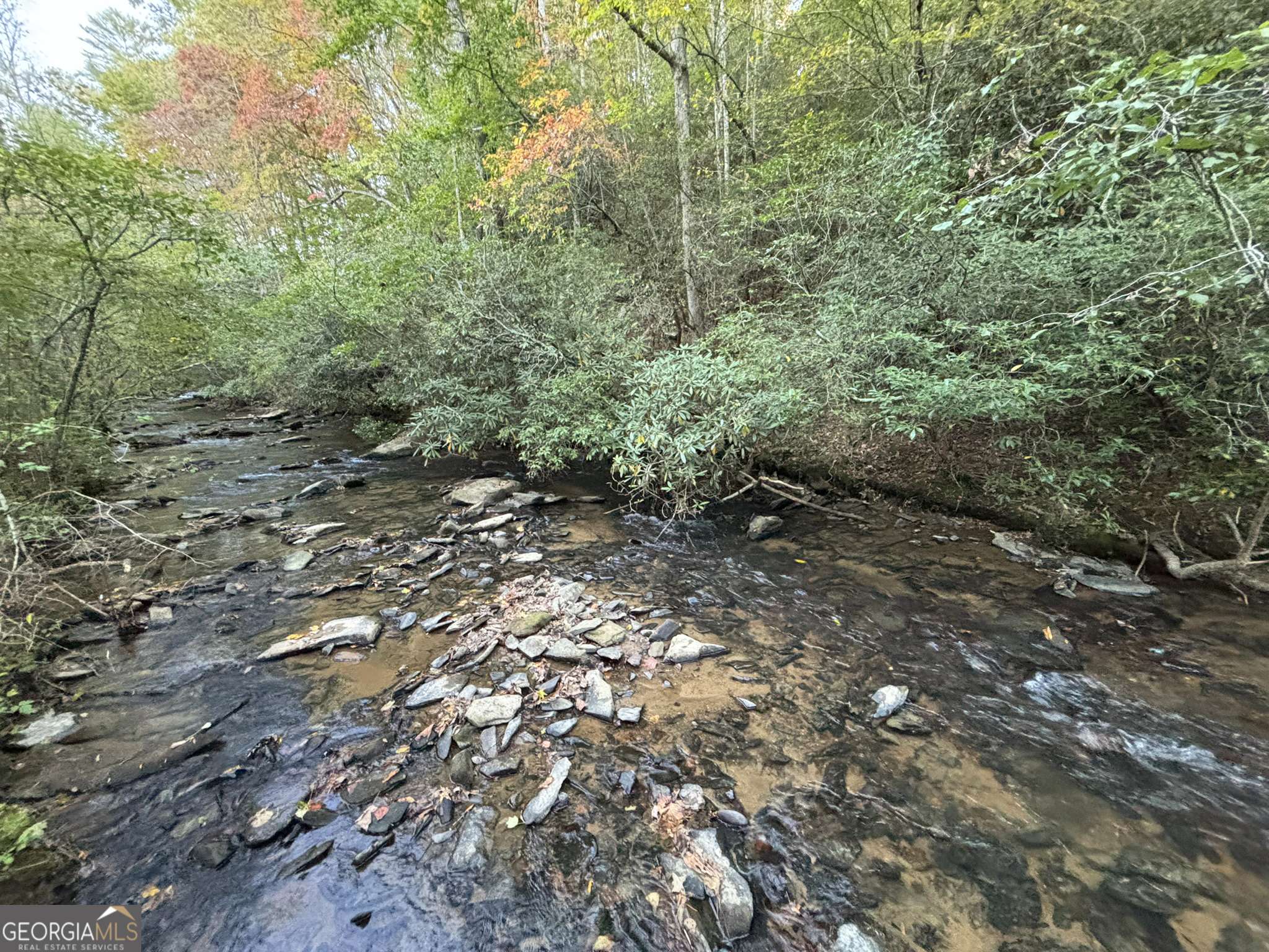 Ellijay, GA 30540,LOT 9 Mt Springer Rd