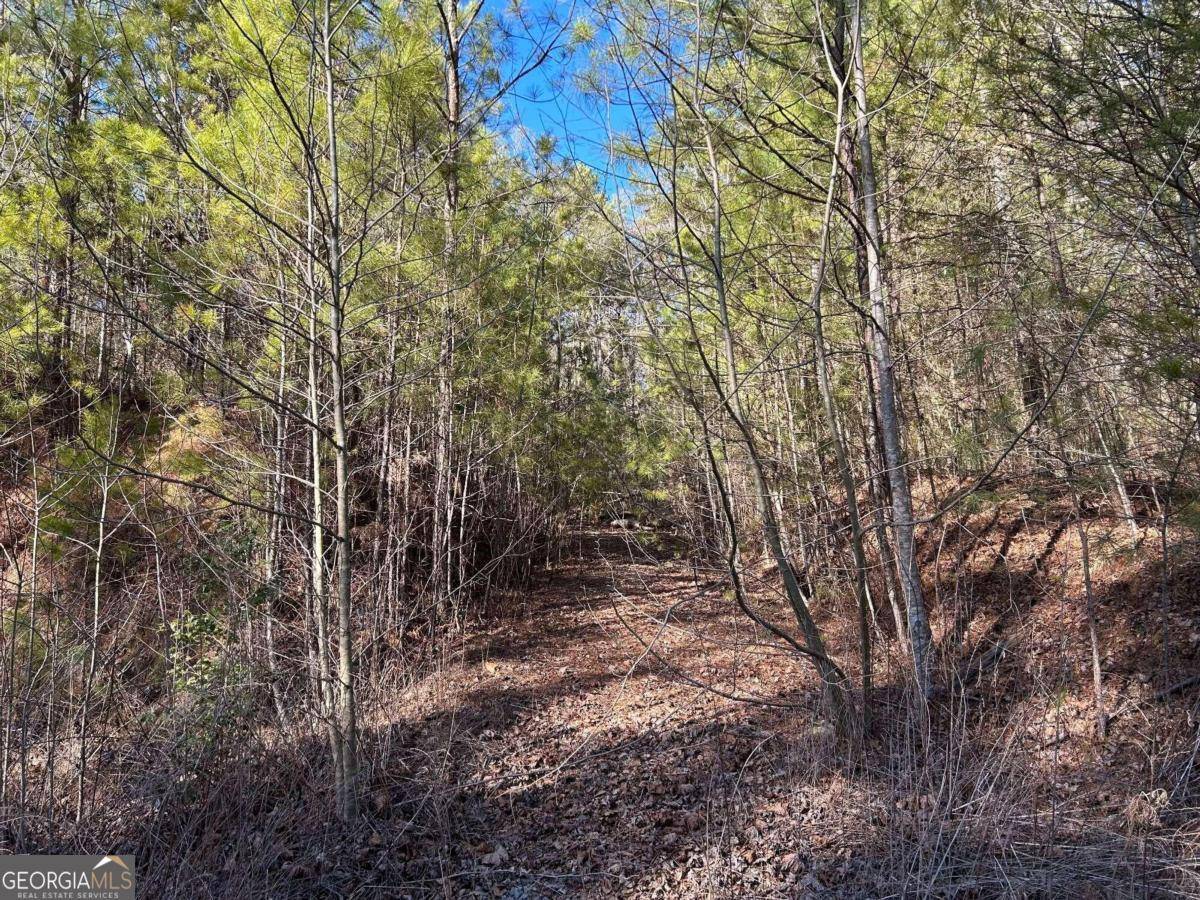 Ellijay, GA 30540,LOT 77 Roaring Forks Lane