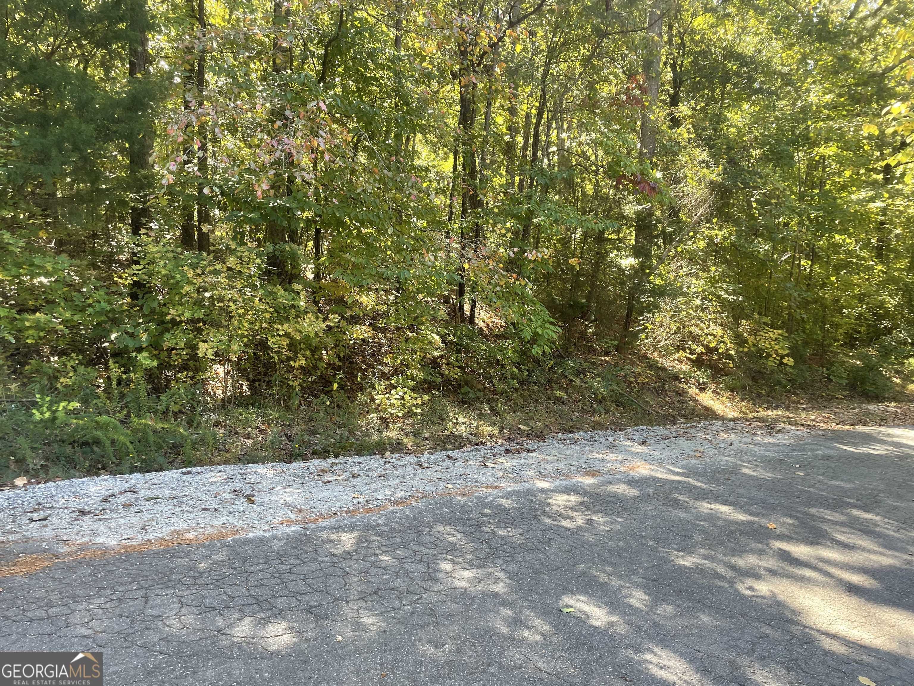 Monticello, GA 31064,0 Flamingo DR #LOT 127