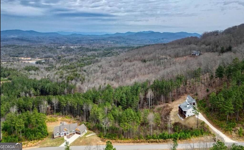 Blairsville, GA 30512,LOT 251 Ridge Pointe WAY