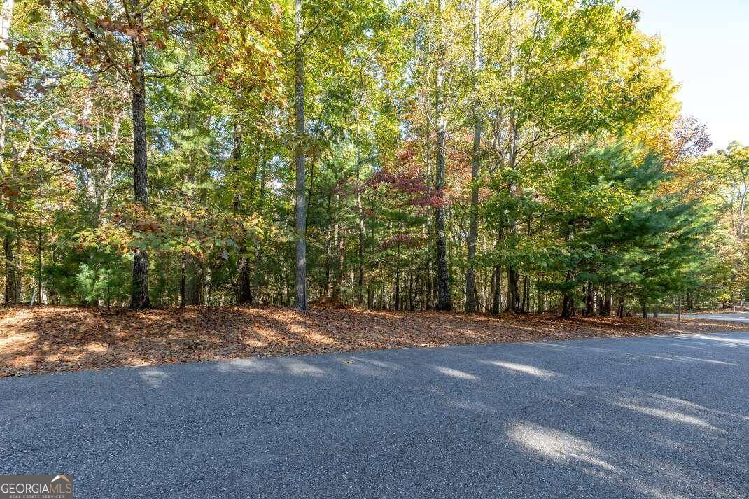 Blairsville, GA 30512,LOT 4 Mountainside