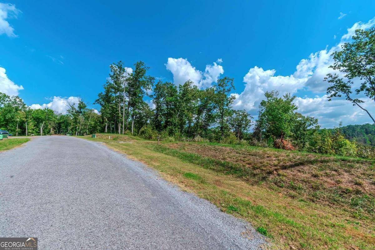 Ellijay, GA 30540,LOT 50 Jakes Landing WAY S