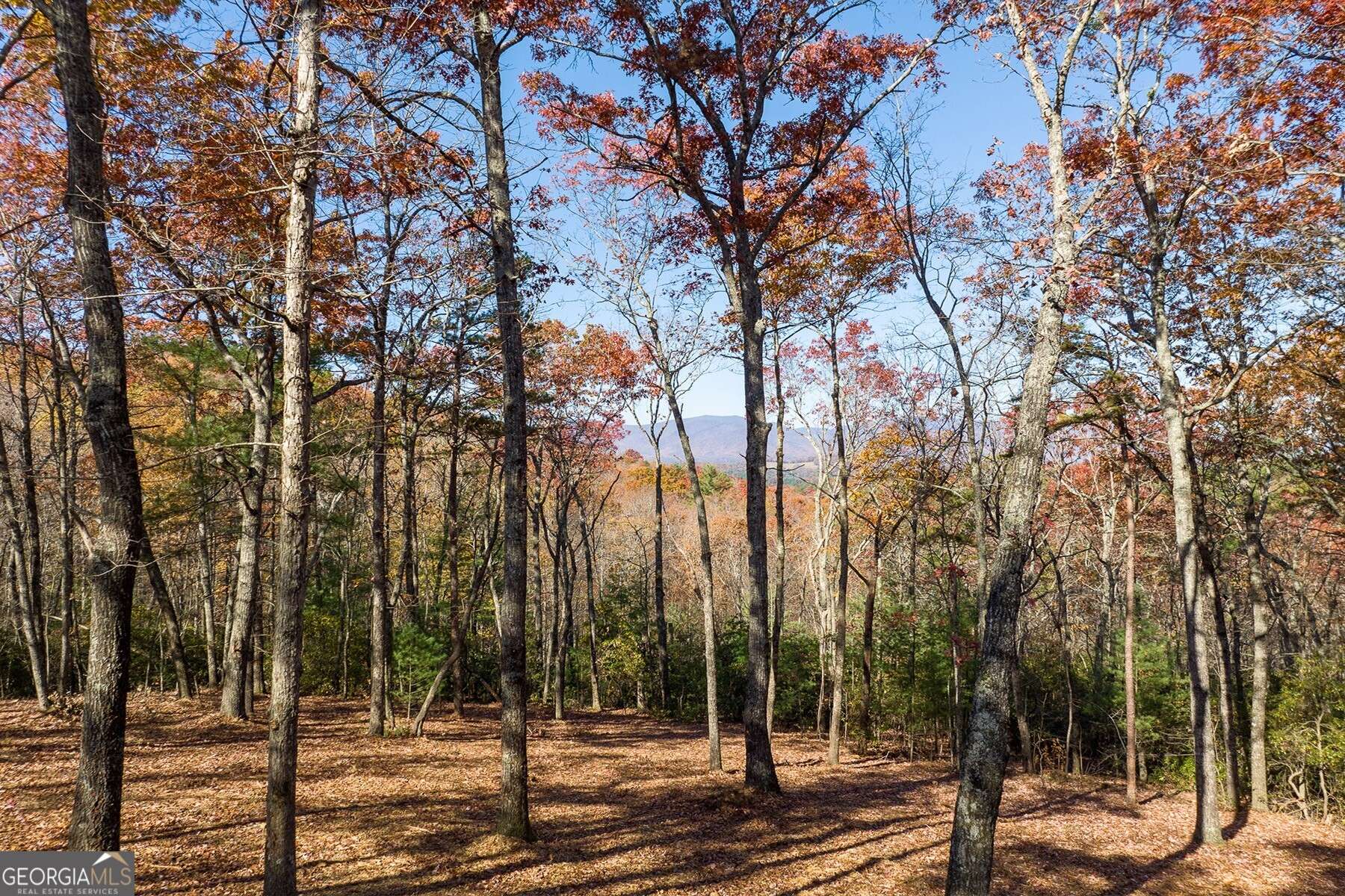 Ellijay, GA 30536,LOT 39 Preserve Trail