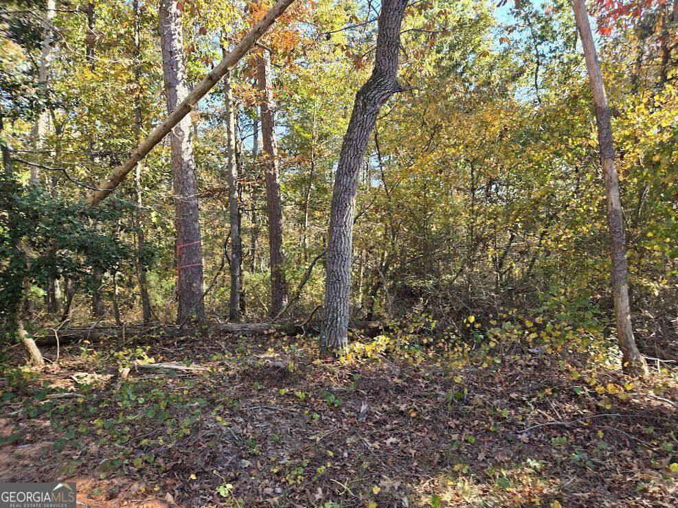 Demorest, GA 30535,5.96 ACRES Canyon Point