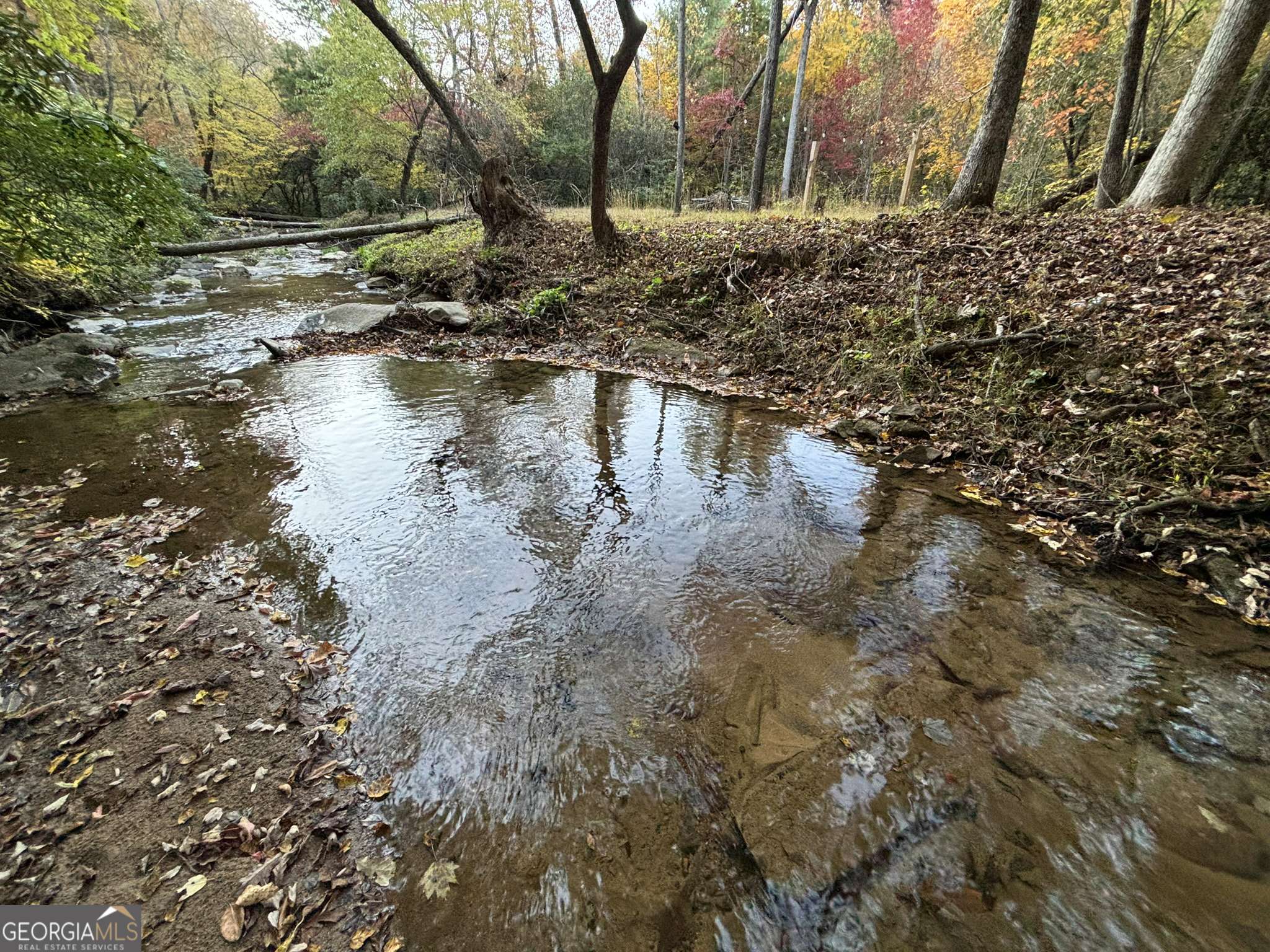 Mineral Bluff, GA 30559,06 ACRES Hills Creek Rd