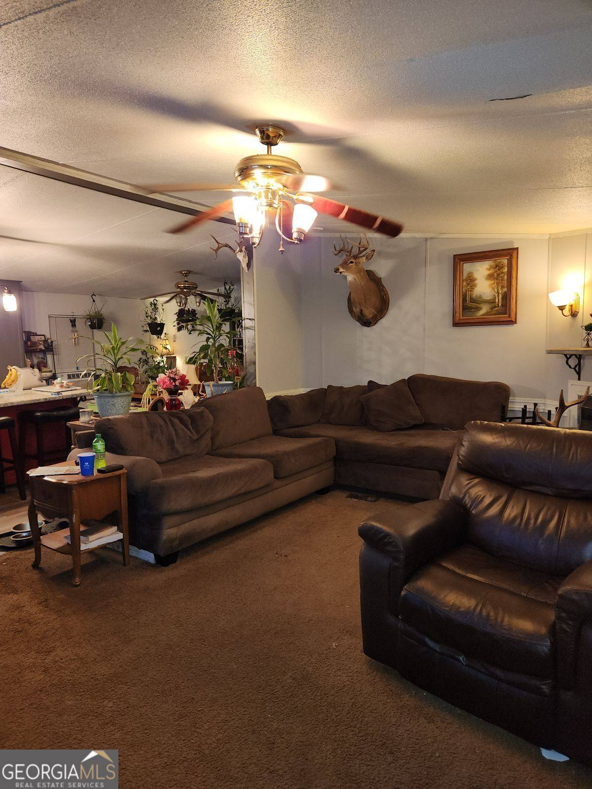 Lula, GA 30554,241 New Image DR