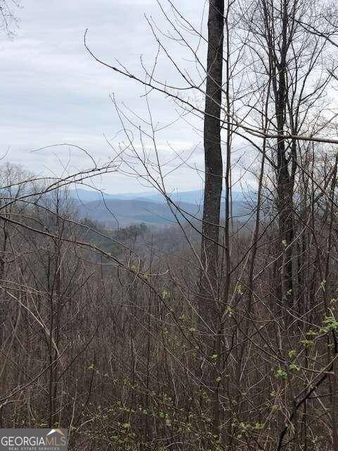 Ellijay, GA 30536,LT 281 Andes Ridge