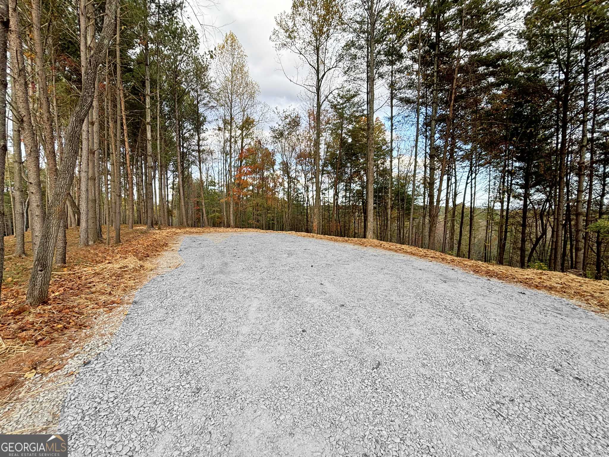 Ellijay, GA 30540,LOT 1 Mt Springer RD