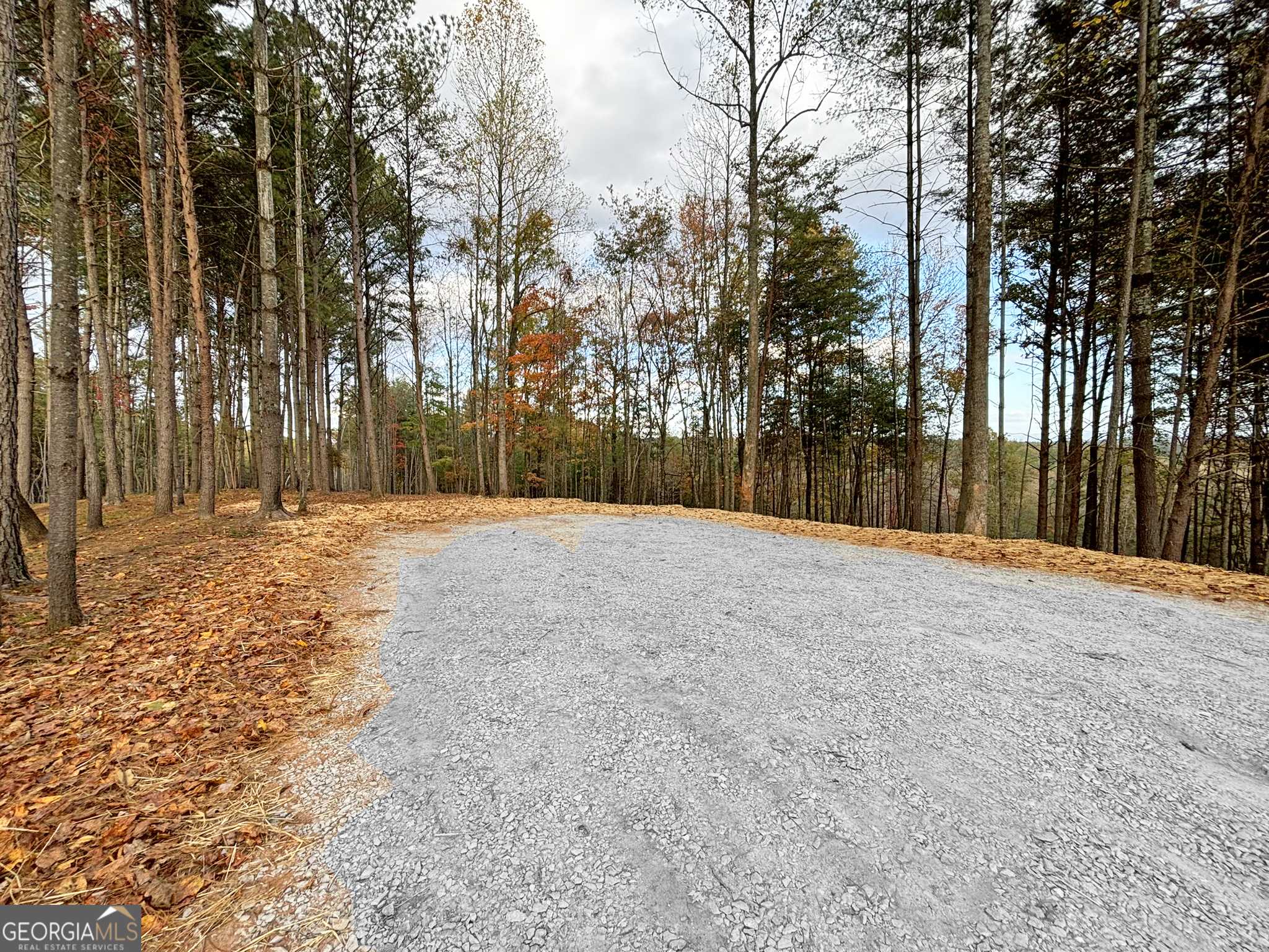 Ellijay, GA 30540,LOT 1 Mt Springer RD