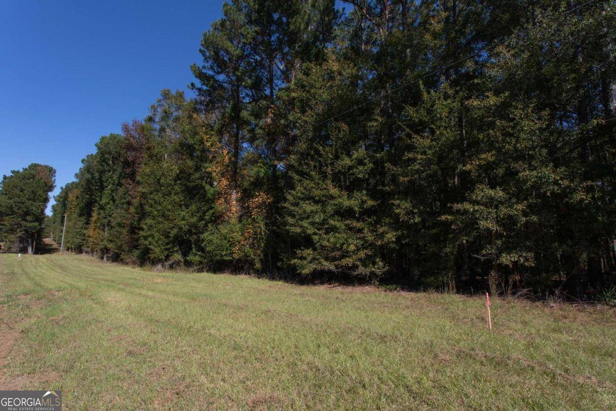 Bishop, GA 30621,LOT C Salem RD