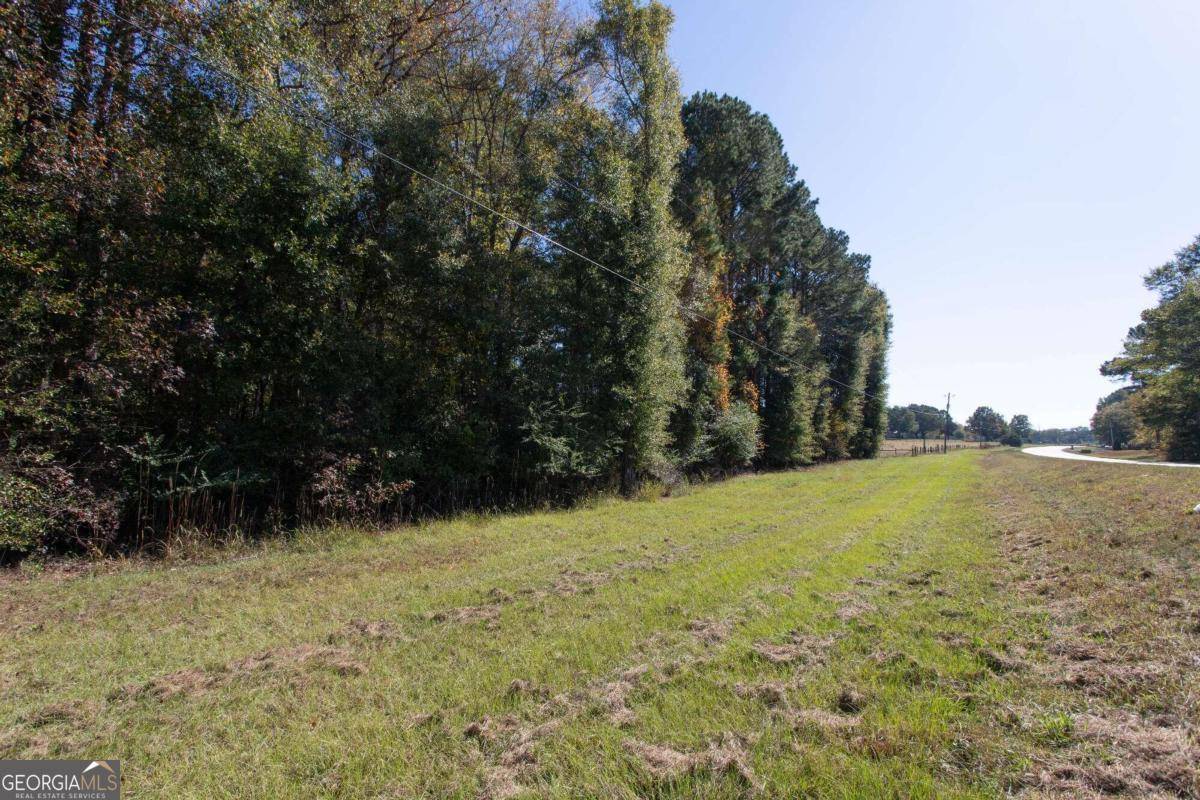 Bishop, GA 30621,LOT D Salem RD