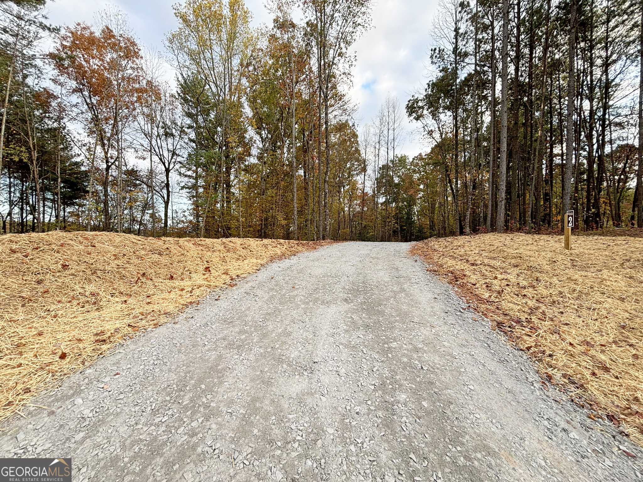 Ellijay, GA 30540,LOT 2 Mt Springer RD