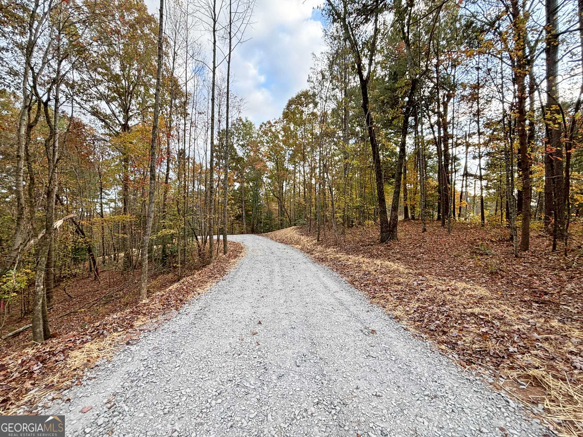 Ellijay, GA 30540,LOT 2 Mt Springer RD