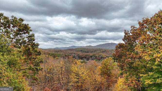 Mineral Bluff, GA 30559,265 Humphrey Heights RD