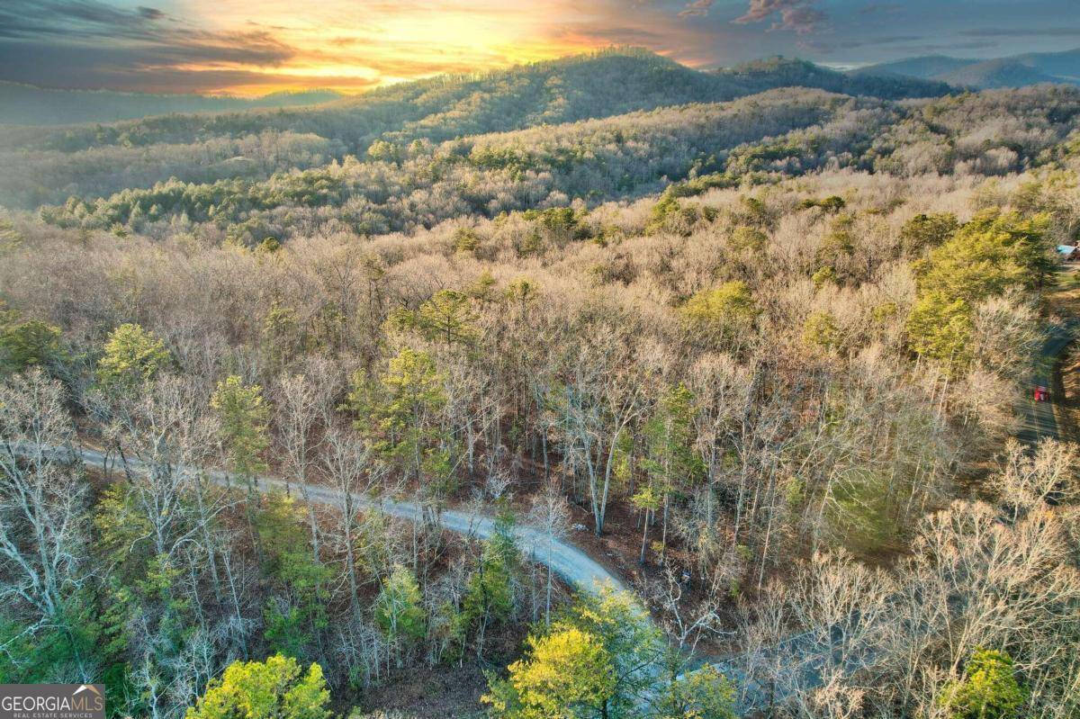 Mineral Bluff, GA 30559,LOT 5 Wild Goose LN