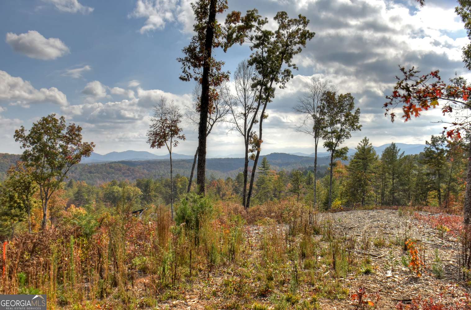 Mineral Bluff, GA 30559,LOT 22 Mountain Laurel RDG