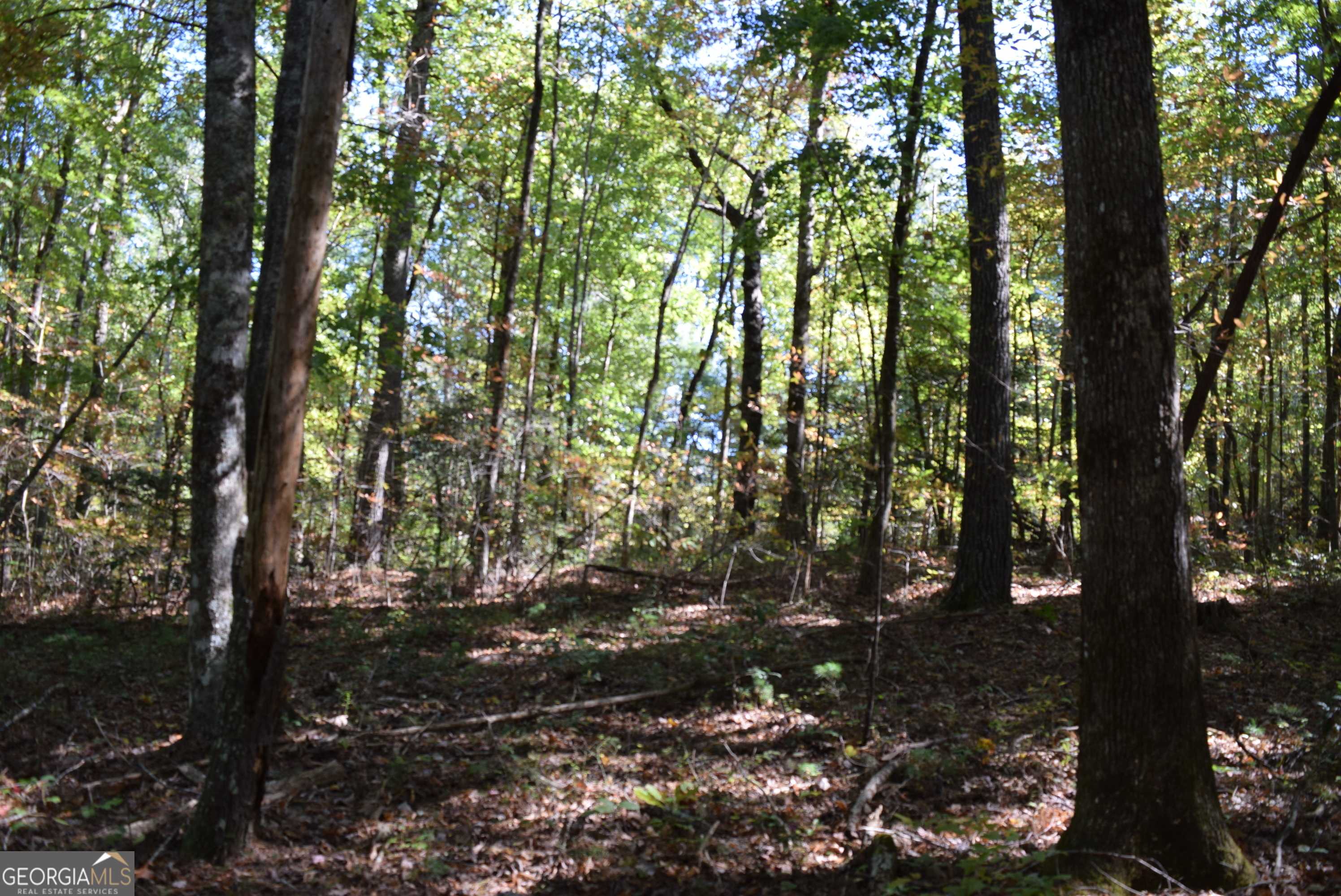 Ellijay, GA 30540,32.98 ACRES Zion Hill Road