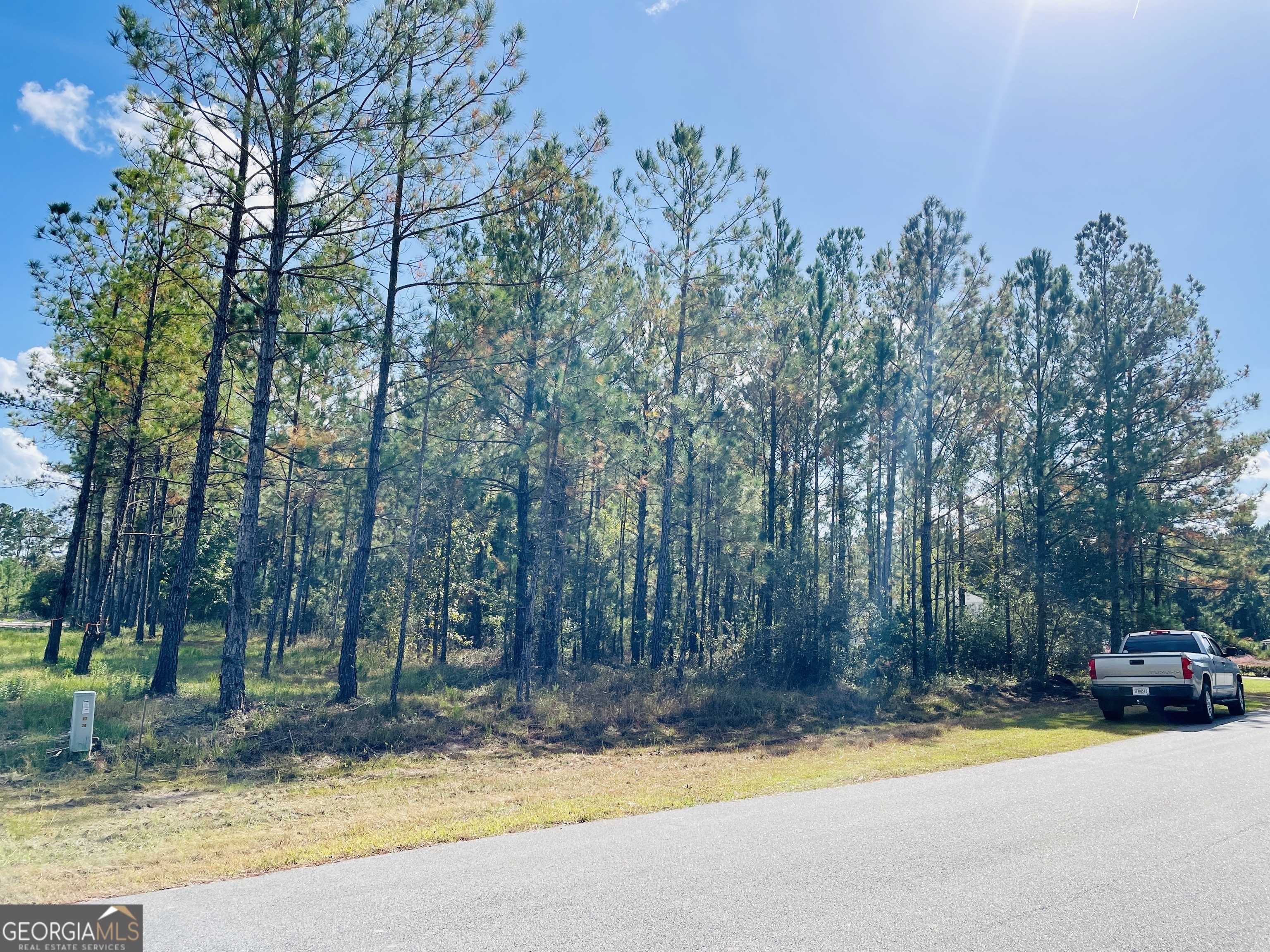 Folkston, GA 31537,LOT 12 Buchanan Landing Dr