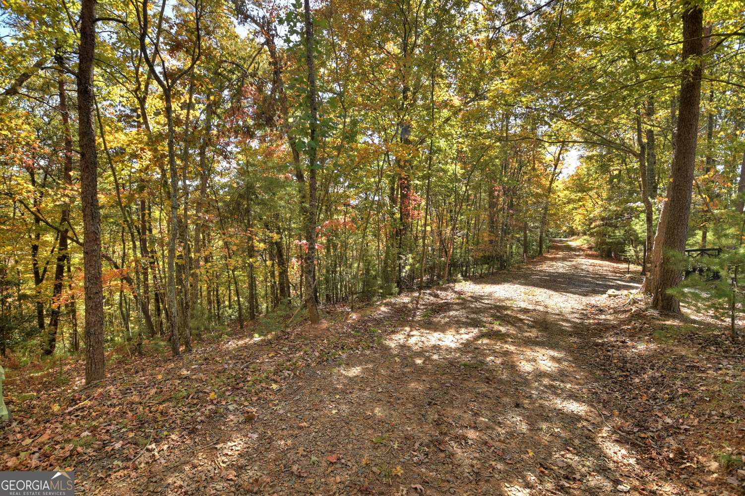 Ellijay, GA 30540,LOT 53 N Whitepath CIR