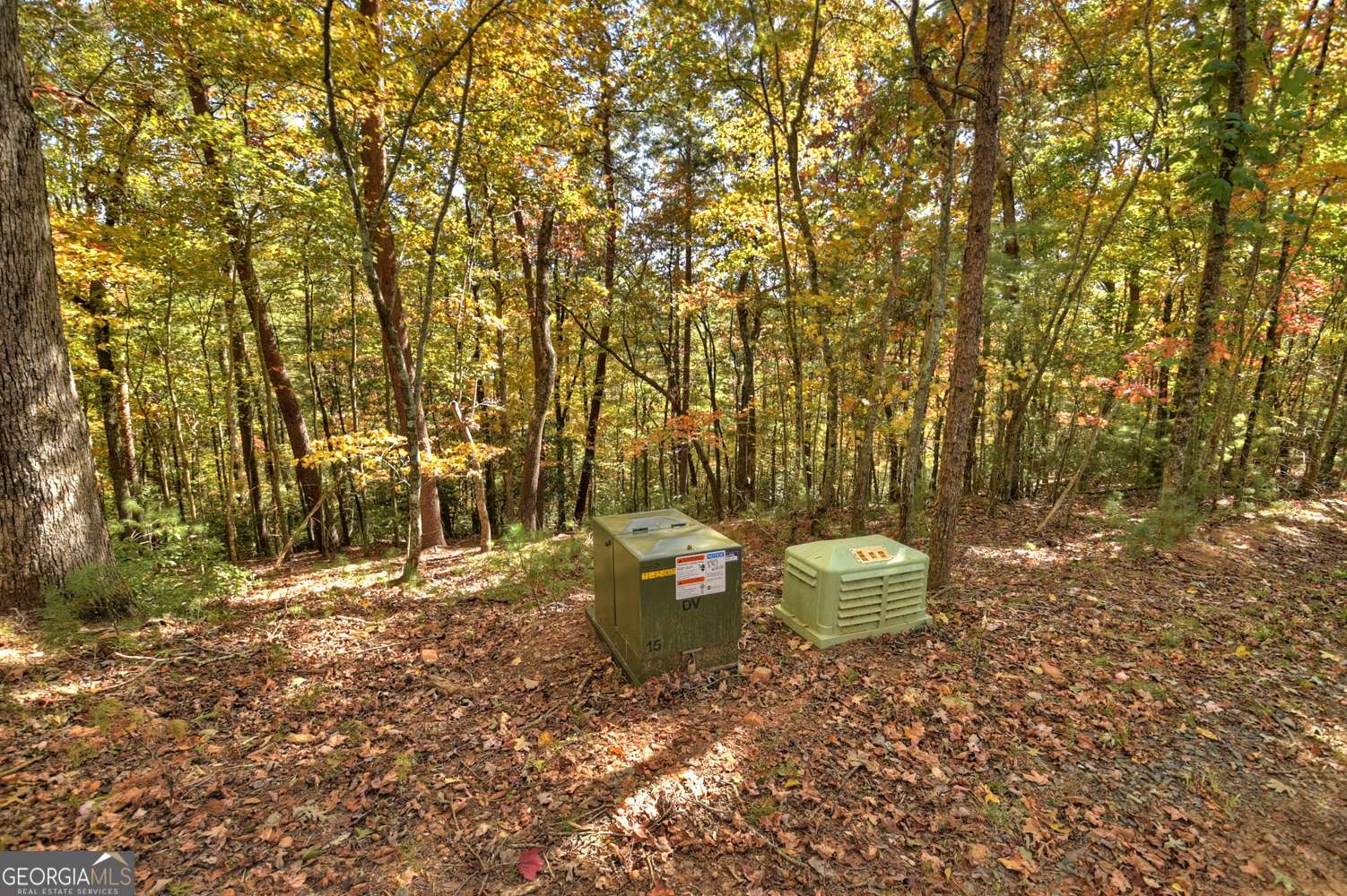 Ellijay, GA 30540,LOT 53 N Whitepath CIR