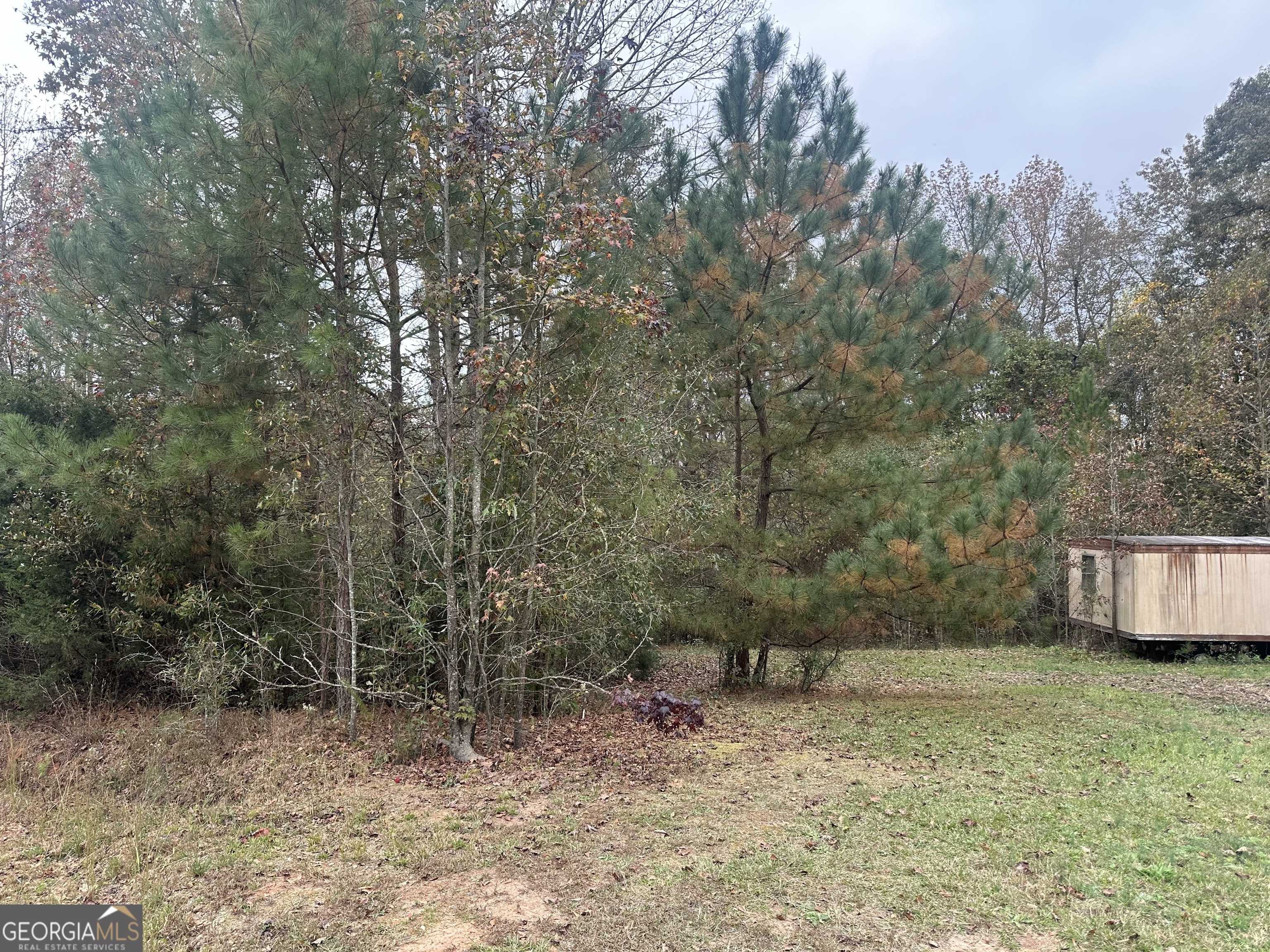 Carnesville, GA 30521,0 PAYNE LANE