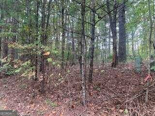 Blairsville, GA 30512,LOT 4 Cane Creek RDG