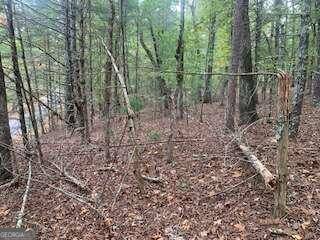 Blairsville, GA 30512,LOT 4 Cane Creek RDG