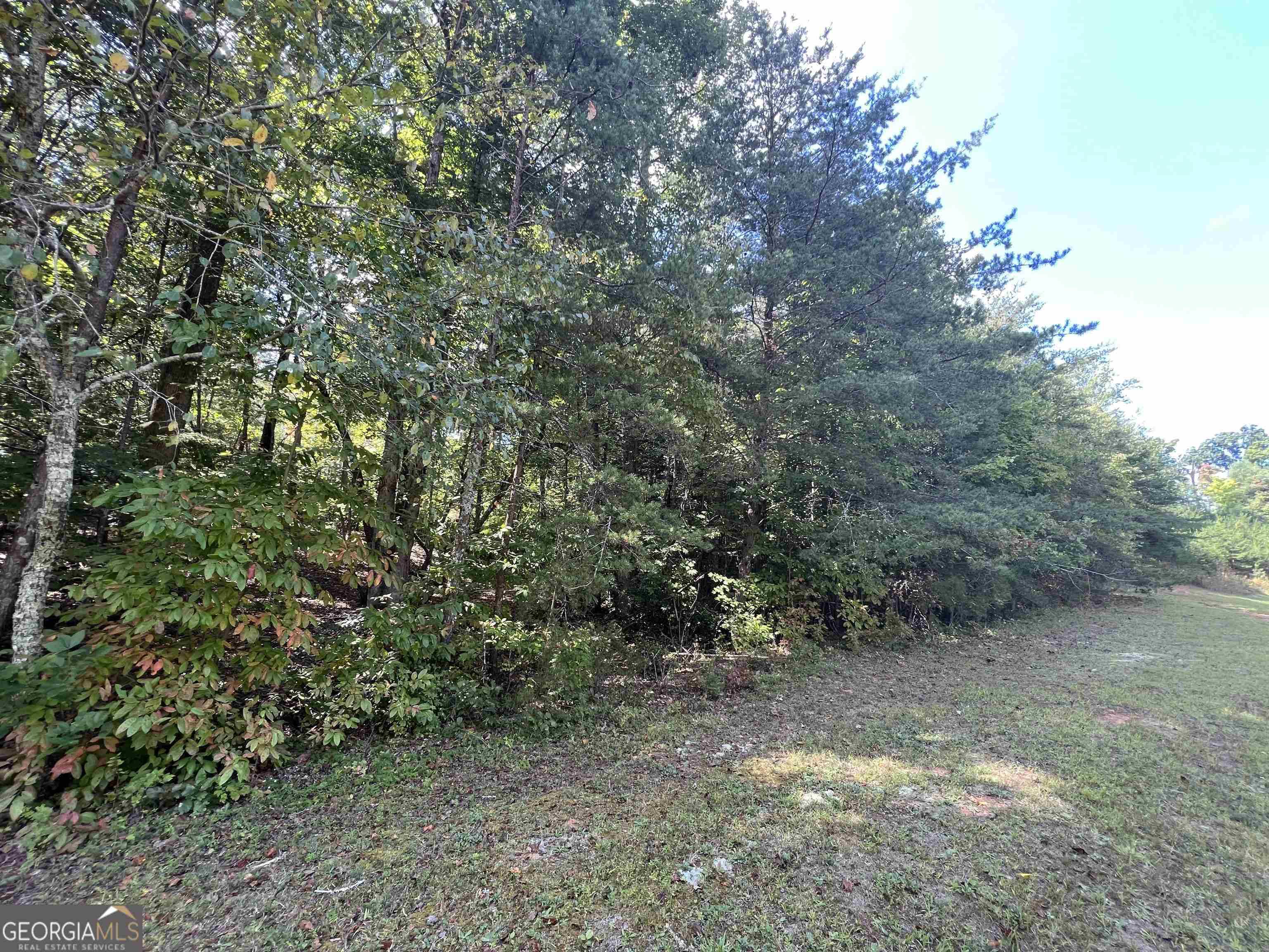 Cleveland, GA 30528,LOT 1 N Laceola RD