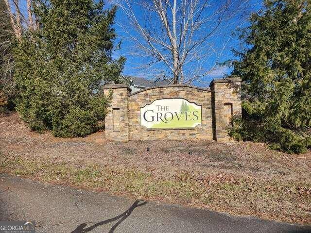 Hayesville, NC 28904,LOT 15 Jack Groves LN