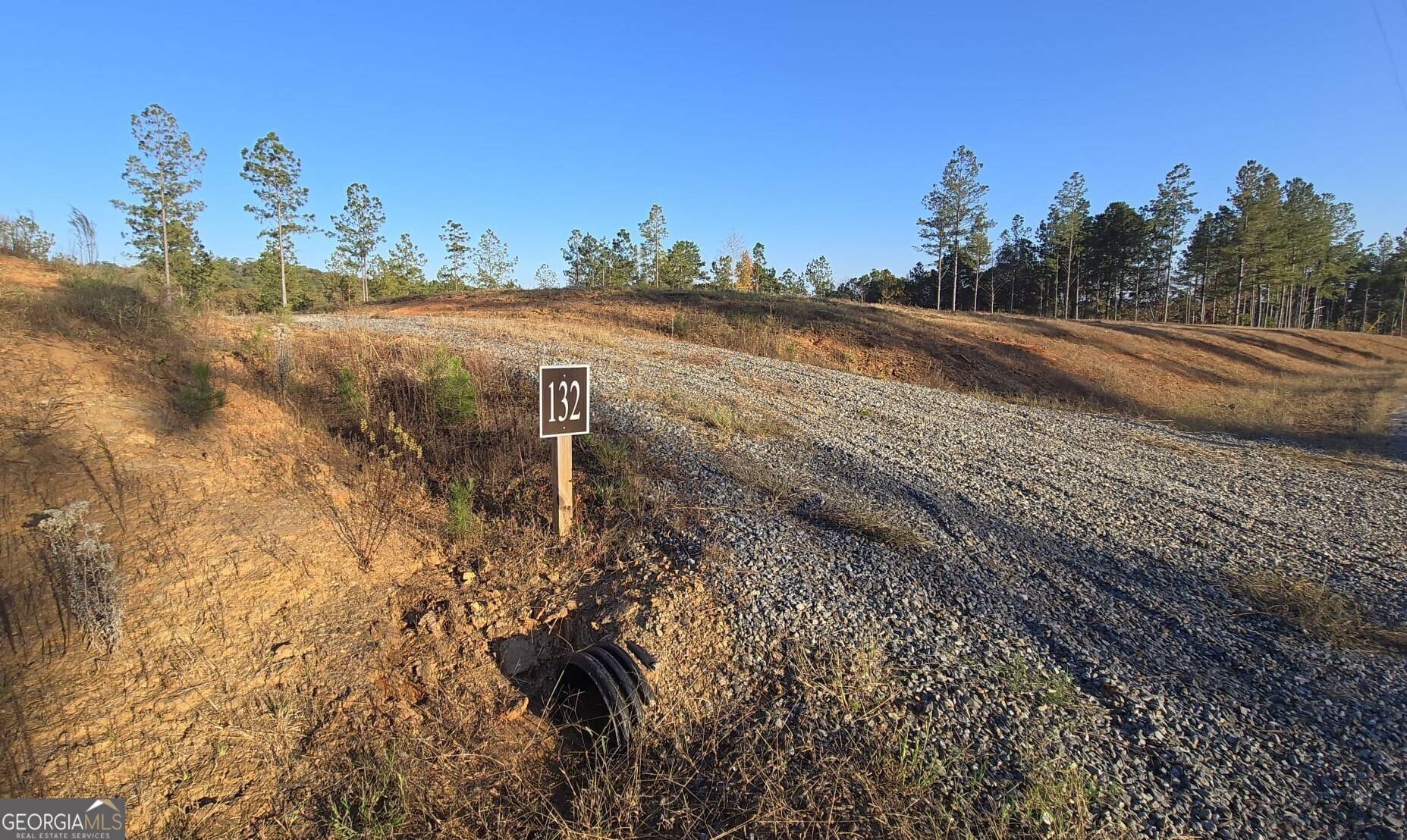 Talking Rock, GA 30175,LOT 132 River Reach LN