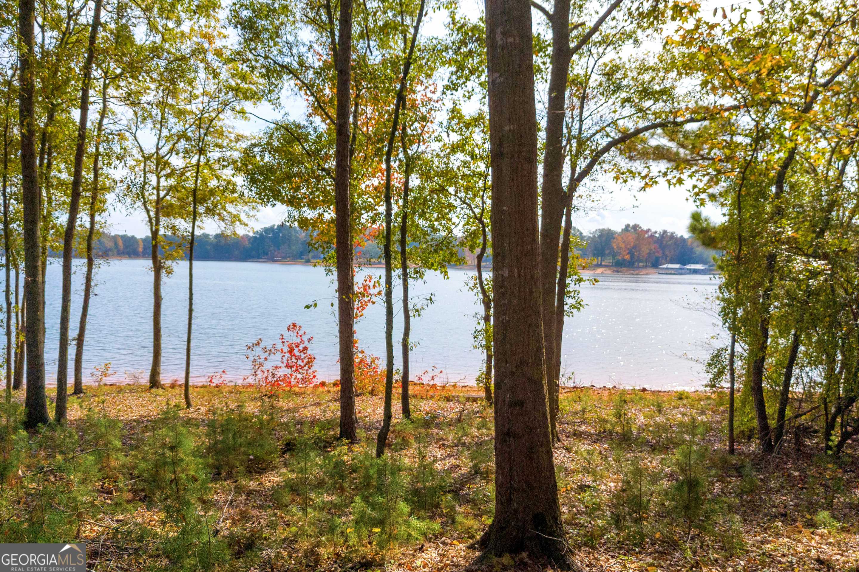 Hartwell, GA 30643,LOT 17 Pointe Sidney