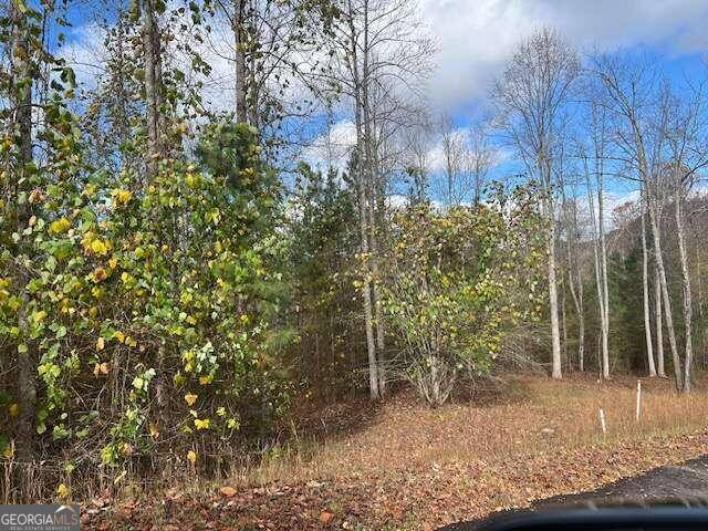 Young Harris, GA 30582,LOT 41 Meadow Brooke DR