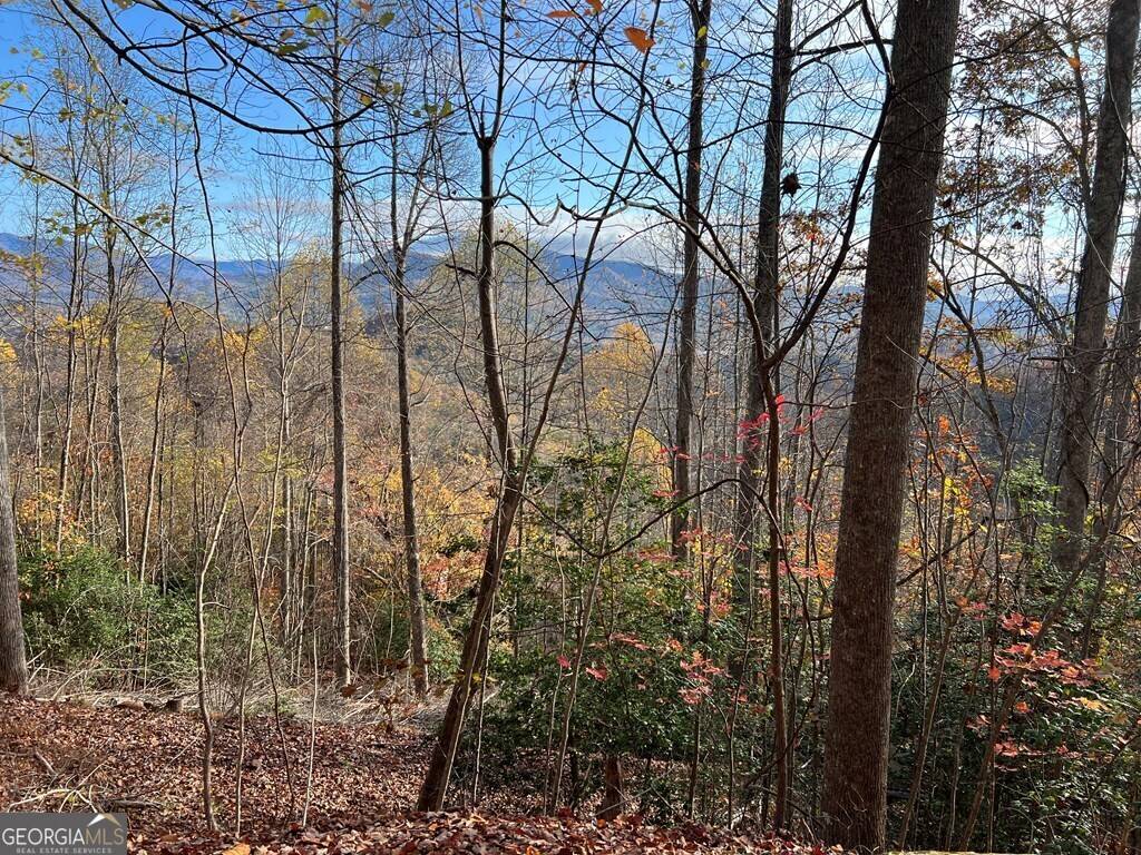 Hiawassee, GA 30546,TRACT 1 Hidden Summit