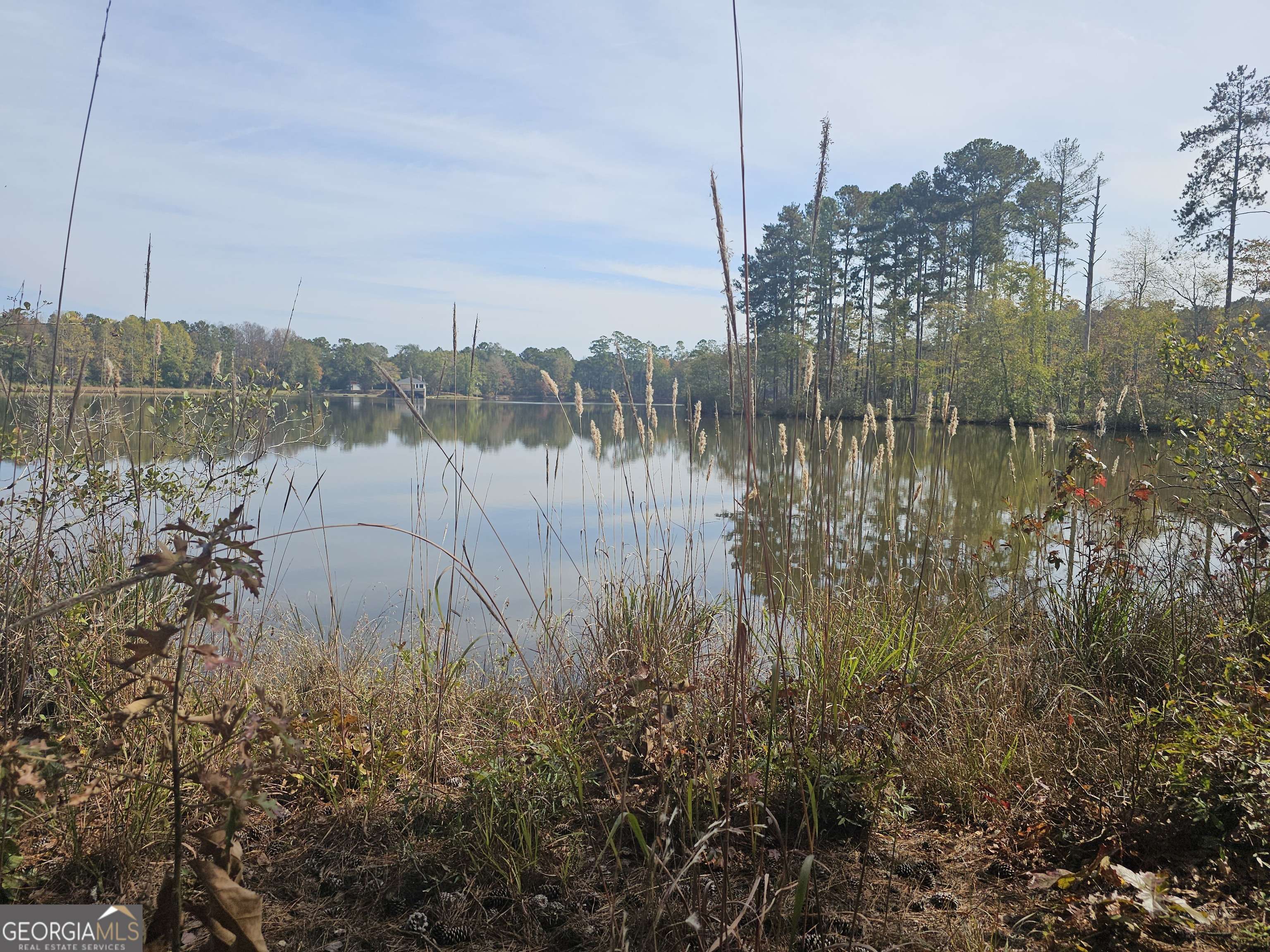 Newnan, GA 30263,0 Pierce Chapel RD #LOT 9