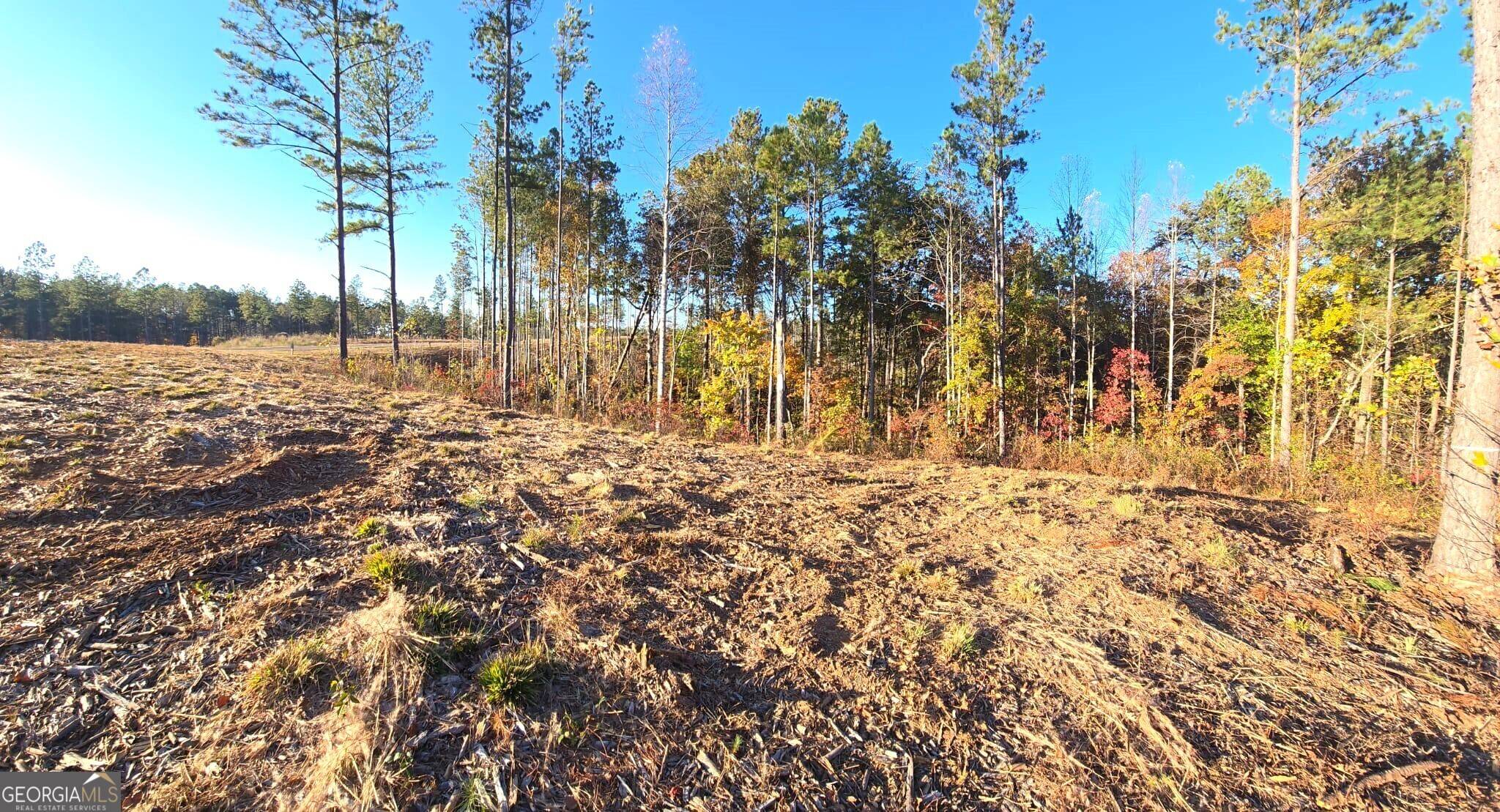 Talking Rock, GA 30175,LOT 133 River Reach LN