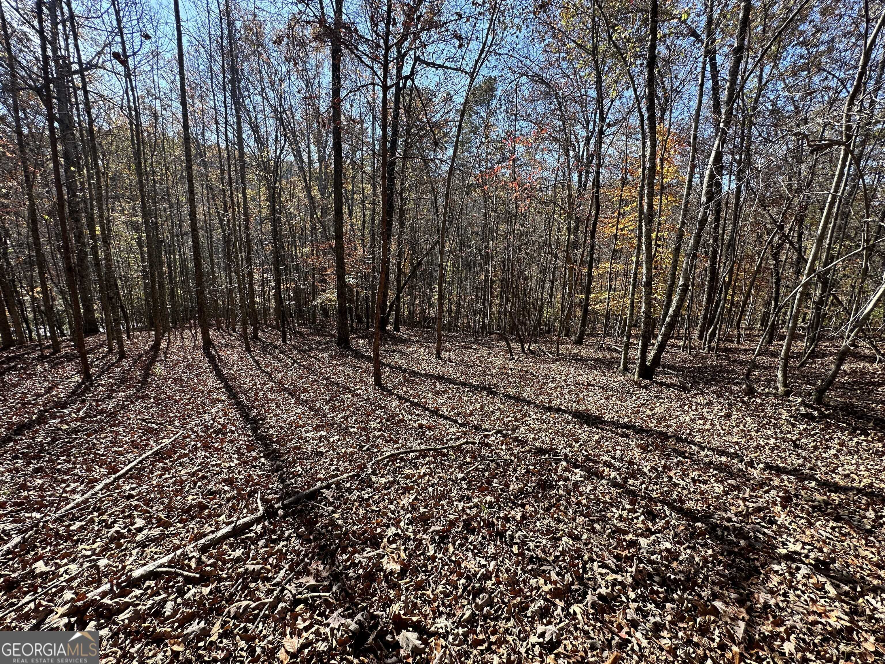 Cleveland, GA 30528,LOT 220 Lands End Trail