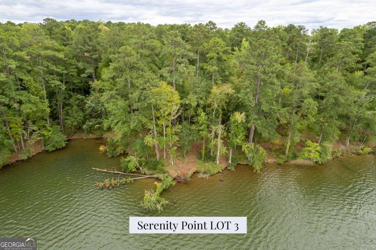 Milledgeville, GA 31061,LOT 3 Serenity PT