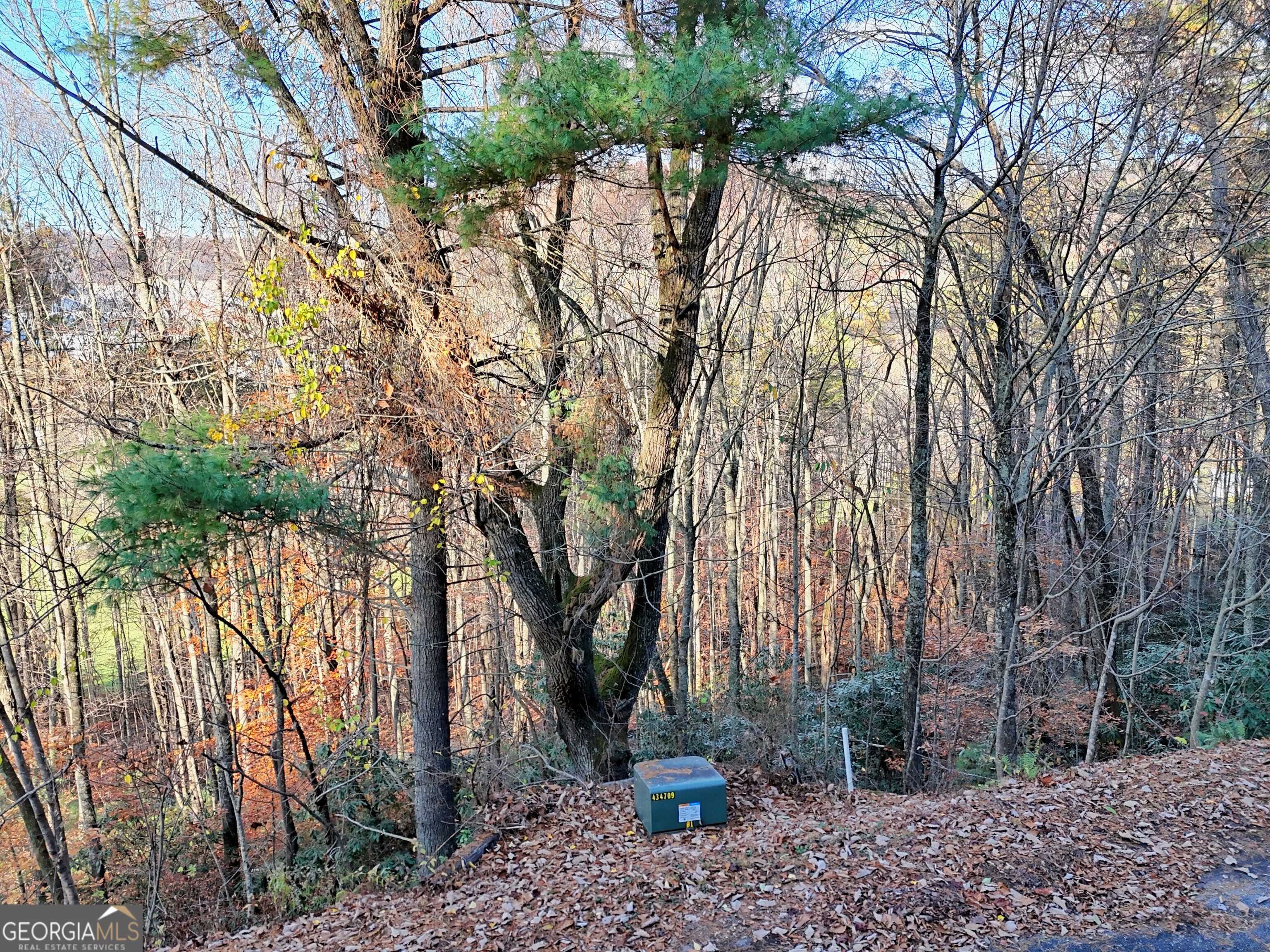 Rabun Gap, GA 30568,0 Shake Hollow #LOT 212