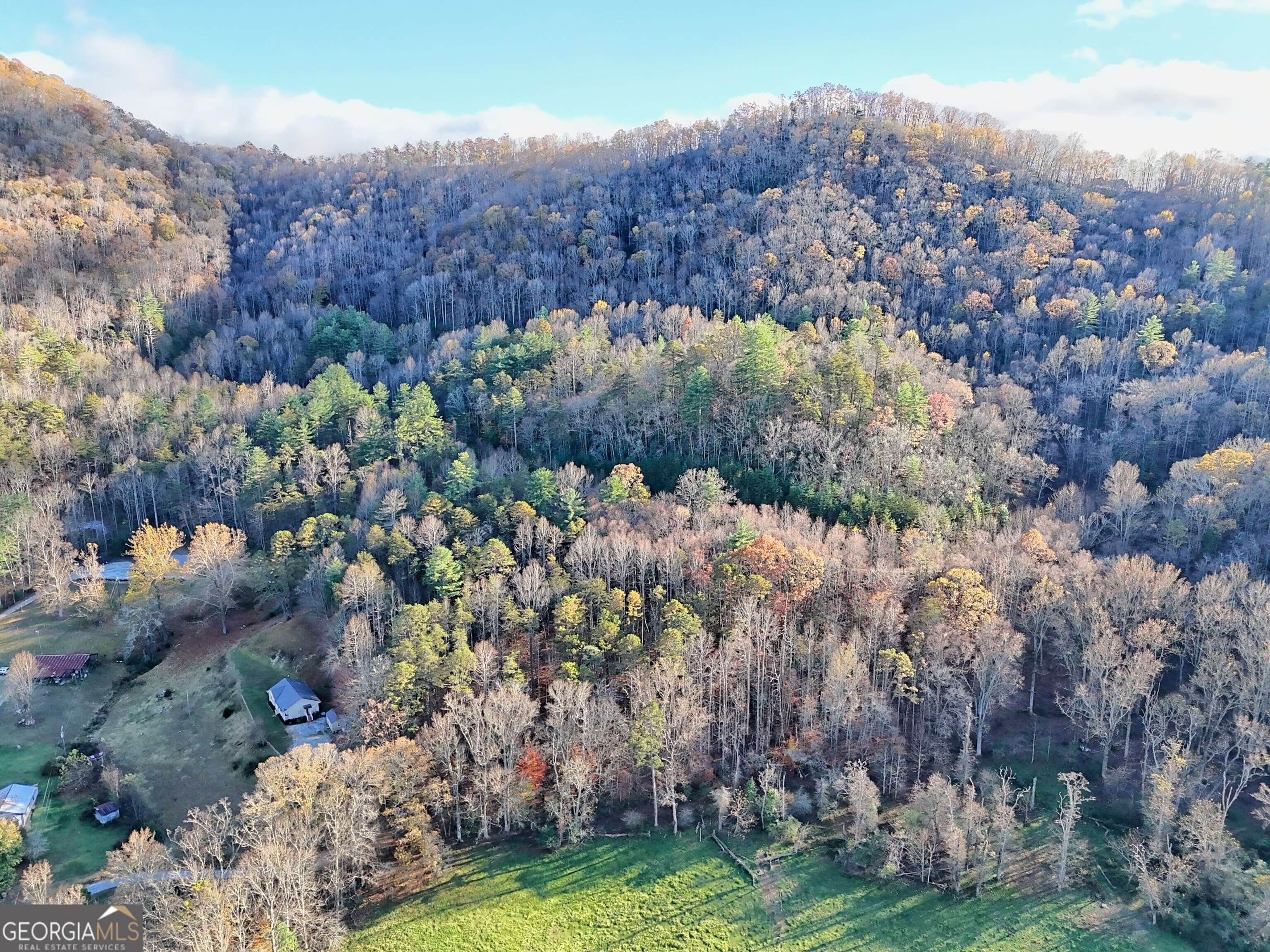 Rabun Gap, GA 30568,0 Shake Hollow #LOT 212