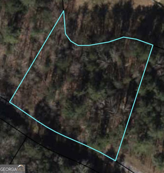 Rabun Gap, GA 30568,0 Shake Hollow #LOT 213