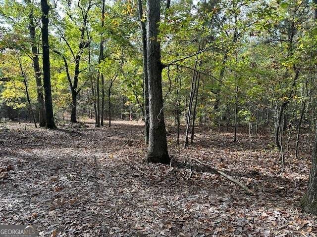 Monticello, GA 31064,0 Faulkner RD #LOT #1