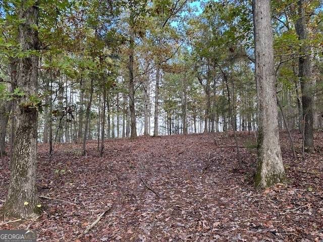 Monticello, GA 31064,0 Faulkner RD #LOT #1