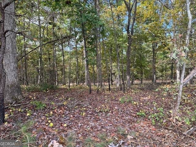 Monticello, GA 31064,0 Faulkner RD #LOT #1