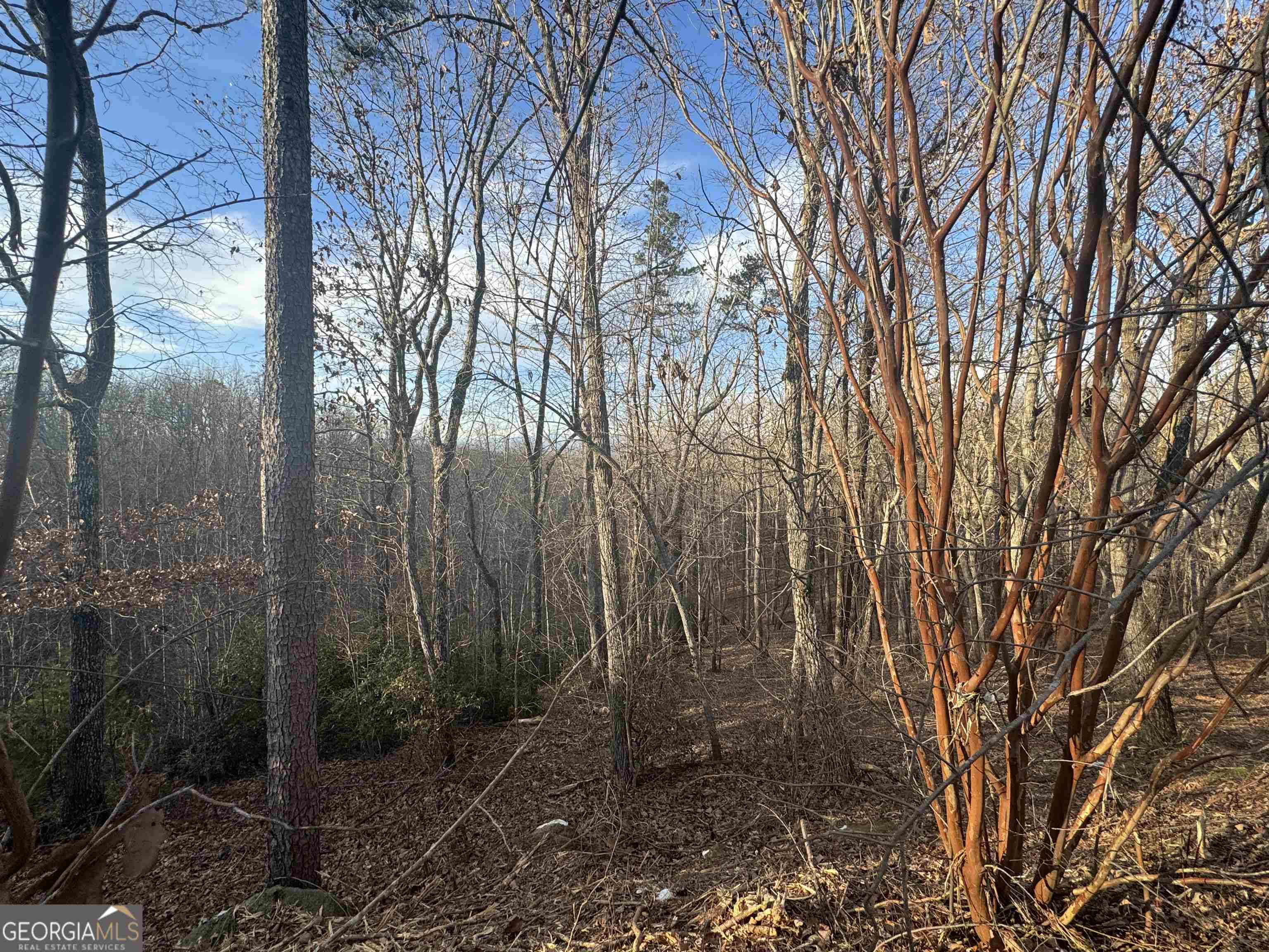 Cleveland, GA 30528,LOT 57 Teel Mtn DR