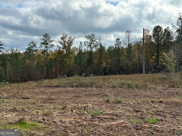 Monticello, GA 31064,0 Faulkner RD #LOT #10